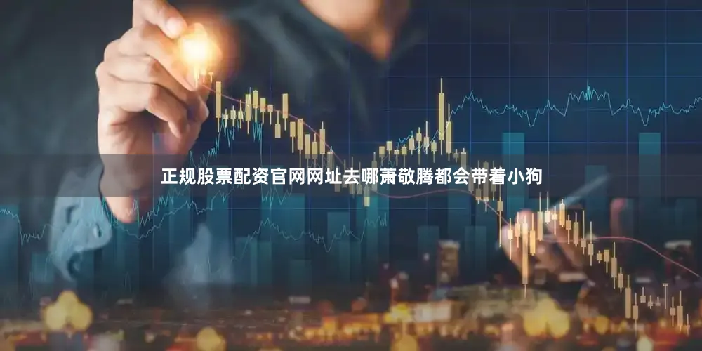 正规股票配资官网网址去哪萧敬腾都会带着小狗