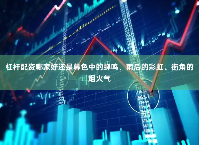 杠杆配资哪家好还是暮色中的蝉鸣、雨后的彩虹、街角的烟火气